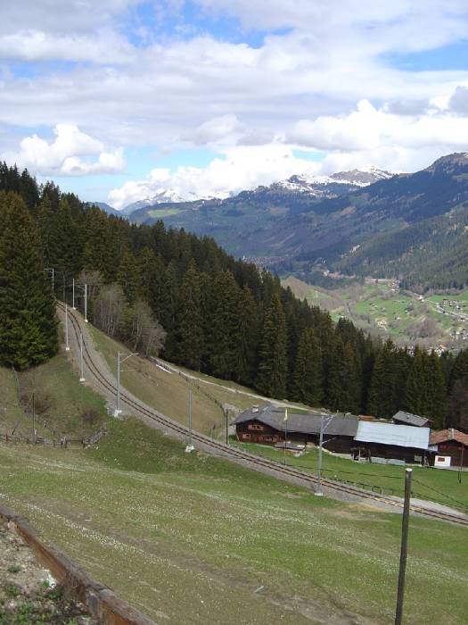 Cavadürli
