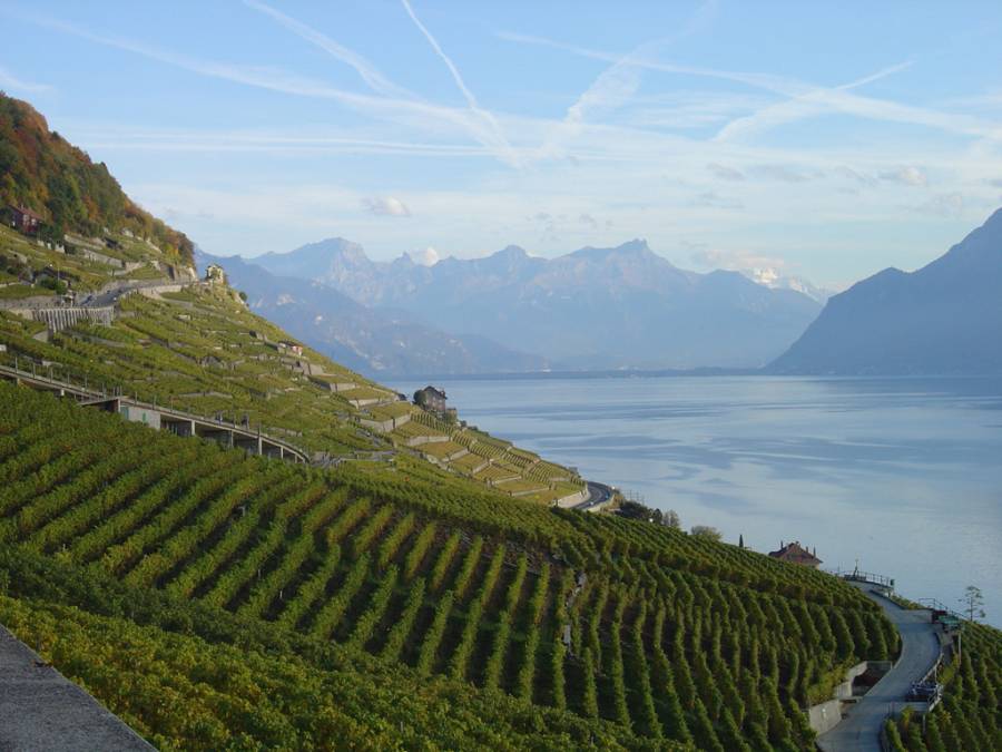Blick auf den Lac Léman Blick auf den Lac Léman