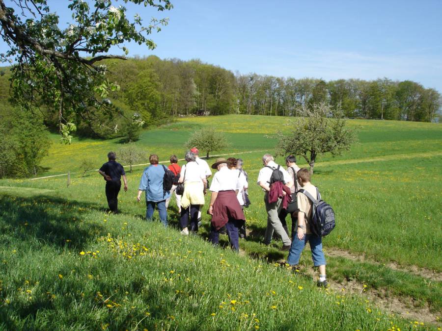 Nach der Museumsbesichtigung wanderten wir nach Büren Nach der Museumsbesichtigung wanderten wir nach Büren