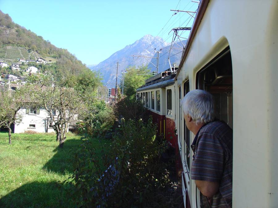 Die Gebüsche sollten ev. mal geschnitten werden.