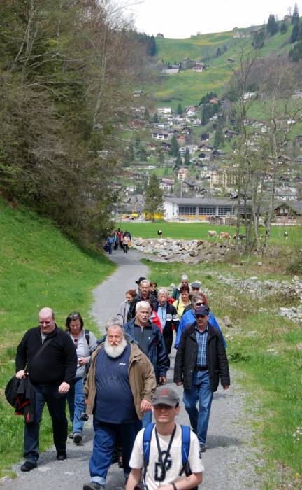 wandern wir zum Eienwäldli  . . . . .
