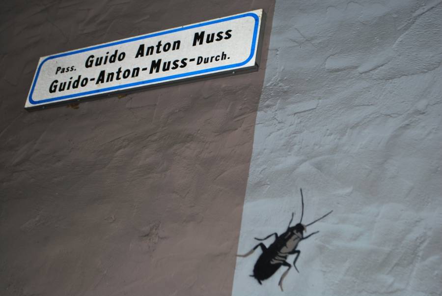 Auch wir mussten hier durch!!! Auch wir mussten hier durch!!!