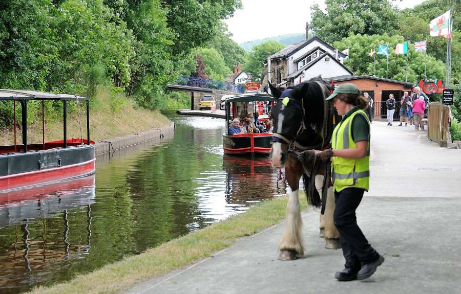 Am Nachmittag besteigen wir ein von Pferden gezogenes Kanalboot (narrow boat)...