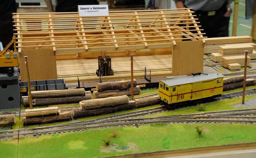 Die Oe Schmalspurbahn transportiert vor allem Holz.